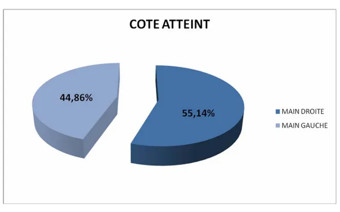 FIGURE 7 : REPARTITION SELON LE COTÉ  ATTEINT 3-2 Les zones topographiques : 