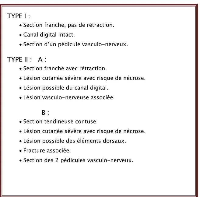FIGURE N° 9 : Classification anatomo-pathologique des plaies des tendons fléchisseurs en zone ΙΙ  avec incidence pronostique en  fonction des lésions associées (13) 