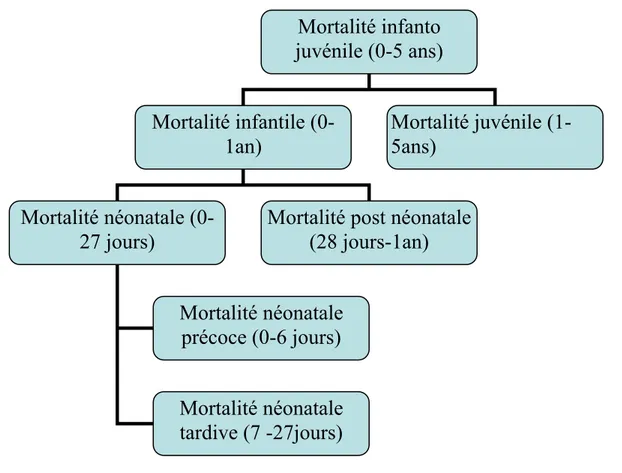Figure 3 : composantes de la mortalité infanto juvénile (5). 