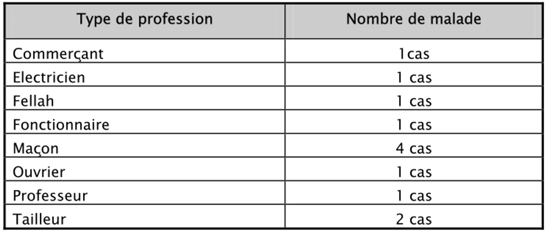 Tableau V : Répartition des malades selon la profession  Type de profession  Nombre de malade 