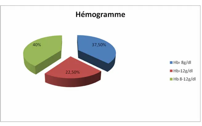 Figure 8 : Hémogramme 