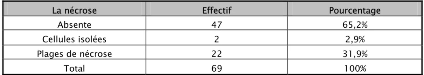 Tableau XX : Répartition des tumeurs selon le degré de nécrose 