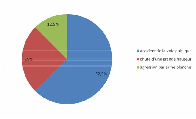 Figure 2 : circonstances du traumatisme.