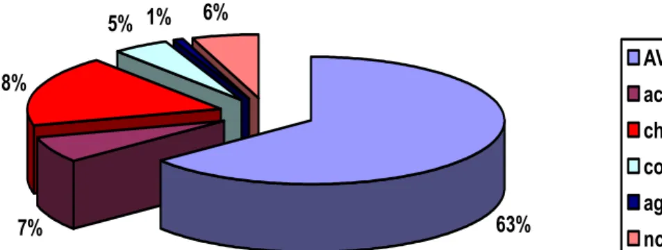 Figure 2: Etiologies des contusions abdominales. 