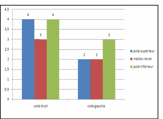 Figure 18 : répartition des tumeurs rénales opérées par laparoscopie selon la localisation