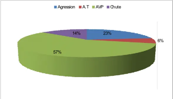 Figure 4 : Répartition des patients selon les circonstances du traumatisme 