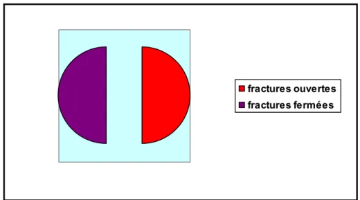 Figure 10 : histogramme illustrant le pourcentage des fractures ouvertes au niveau du tibia  