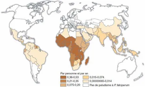 Fig. 5 : régions d’endémie palustre (d’après l’OMS 2010) (24) 
