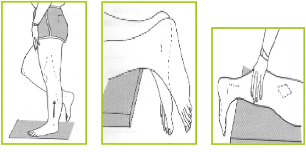 Figure 8 : Signe pathognomoniques e la section tendineuses 