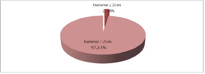 Figure n°15: Répartition de la taille de la tumeur dans notre série. 