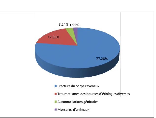 Figure 8: Repartions des patients selon les formes cliniques 77.28%17.53%3.24% 1.95%Fracture du corps caveneuxTraumatismes des bourses d'étiologies diversesAutomutilations génitralesMorsures d'animaux