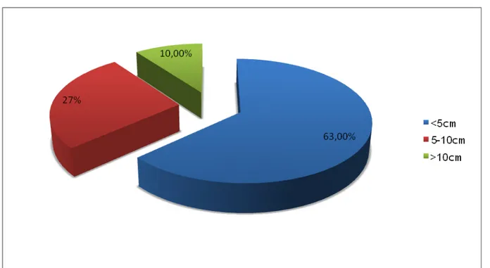 Figure 6 : Taille des angiomes dans notre série : 