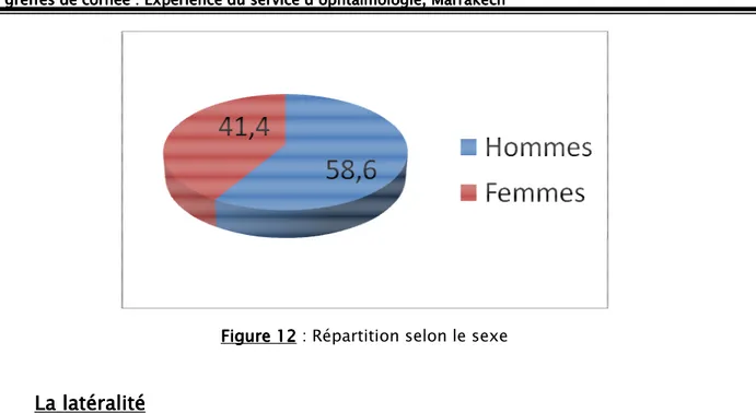 Figure 12 : Répartition selon le sexe 