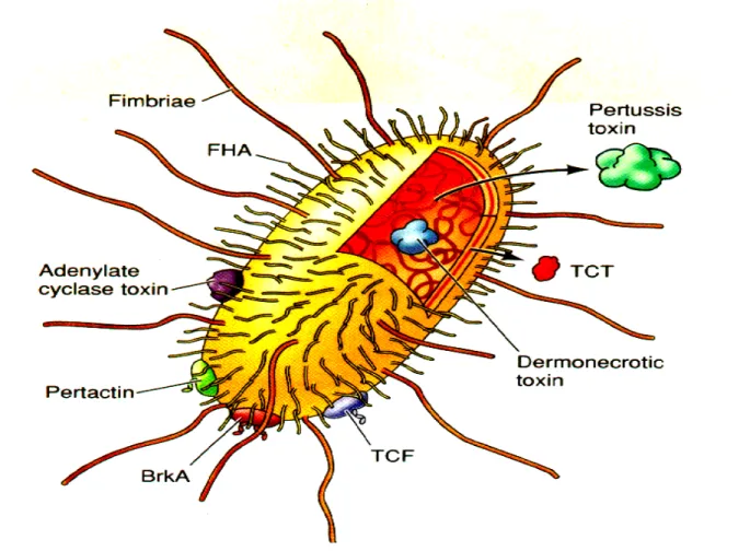 Figure 5Figure 5Figure 5