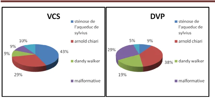 Figure 10 10 10 10 : les principales malformations cérébrales détectées par l’imagerie pré opératoire 