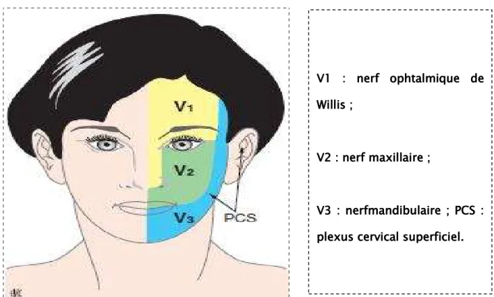 Figure 12Figure 12Figure 12