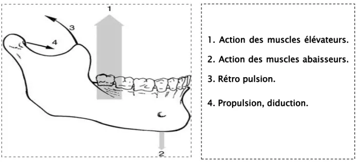 Figure 26Figure 26Figure 26