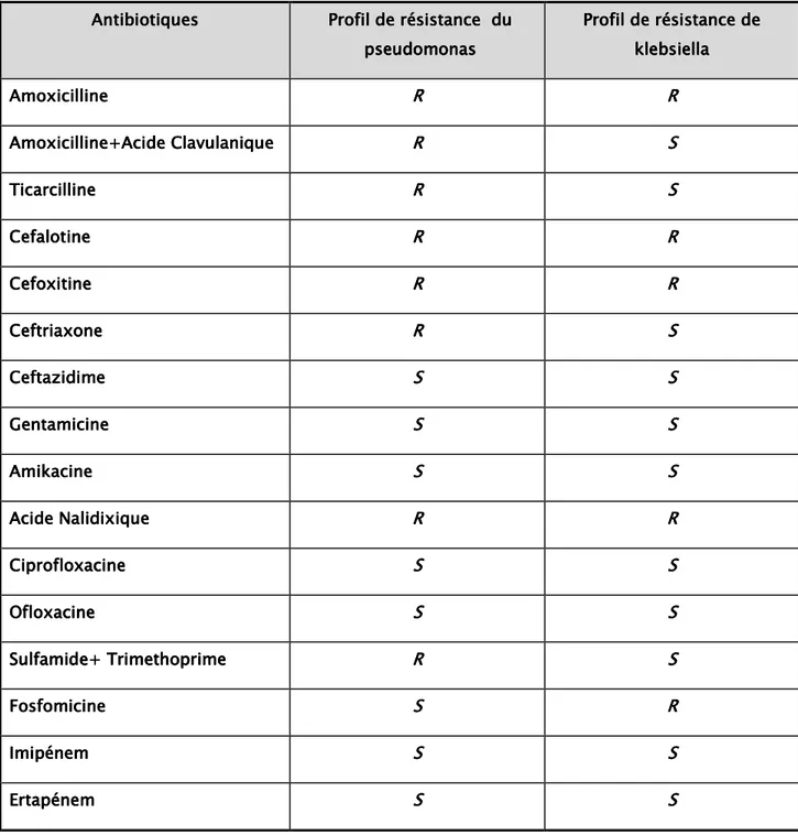 Tableau    1 1 1 1    :  :  : profil de l’antibiorésistance du pseudomonas et de klebsiella     : 