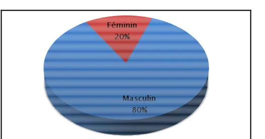 Figure 2 2 2 2 : Répartition des patients selon le sexe. 