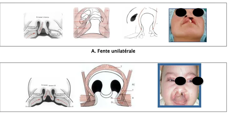 Figure 6Figure 6Figure 6