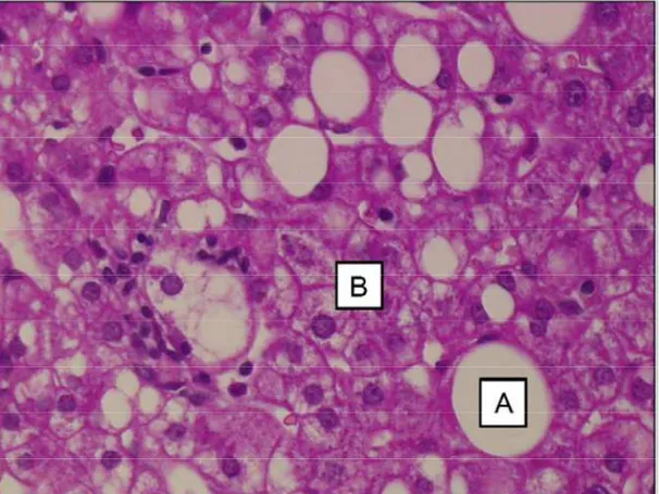 Figure 1Figure 1Figure 1