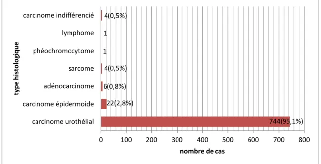 Figure 10:    cancer de vessie : types histologiques 