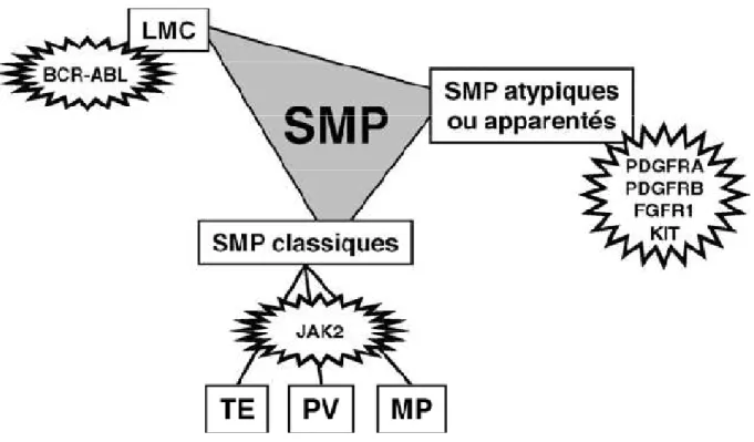 Figure 6Figure 6