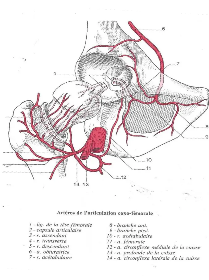 Figure 2Figure 2Figure 2