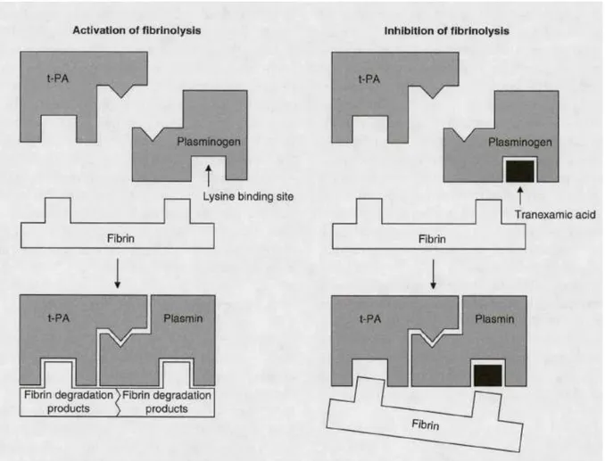 Figure 6Figure 6Figure 6