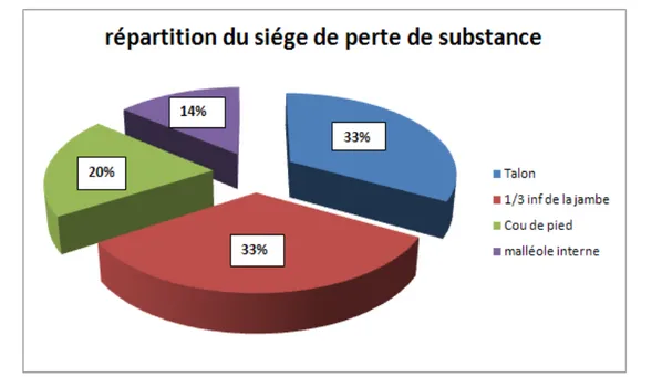 Figure 6 : répartition du siège de la perte de substance 