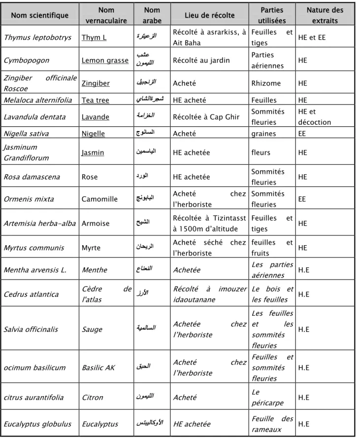 Tableau I « suite » : Plantes sélectionnées pour étude de leur activité antifongique :  Nom scientifique  vernaculaire Nom  arabe Nom  Lieu de récolte  utilisées Parties  Nature des extraits 