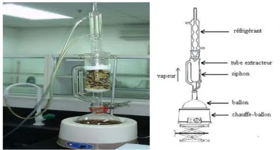 Fig. 10 : Extraction par le  Soxhlet [Photo du laboratoire de Génie des procédés   et Biotechnologie végétale de la faculté des Sciences Ibn Zohr d’Agadir] 