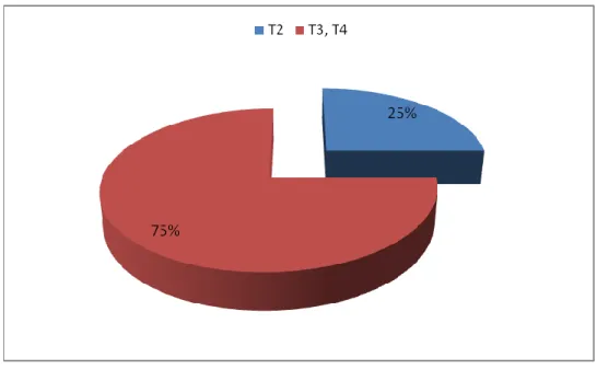 Figure 3 : Répartition des patients selon le stade tumoral . 