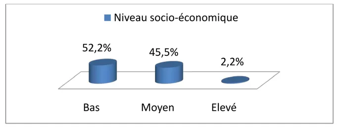 Figure 2 : Répartition des patients selon le niveau socio-économique 