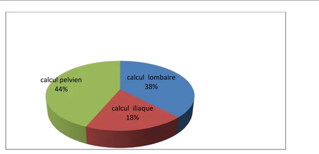Figure 10 : répartition des patients selon le siége des calculs 