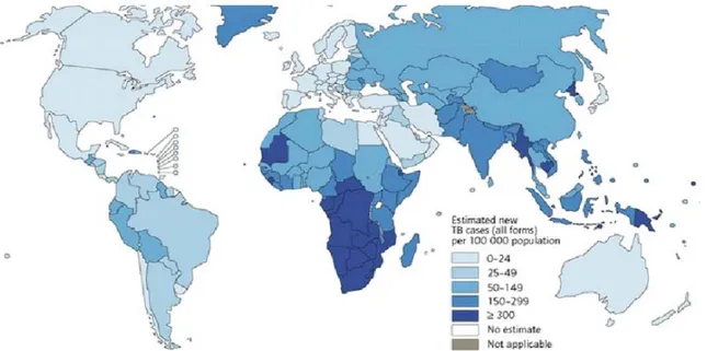 Figure 13 : Nouveaux cas de tuberculose estimés dans le monde en 2011 