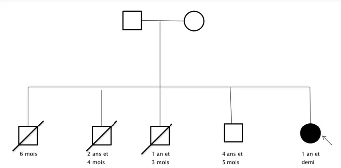 Figure 3 : Arbre généalogique de l’enfant E.Y. 