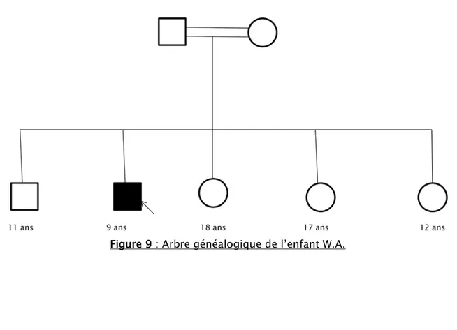 Figure 9 : Arbre généalogique de l’enfant W.A. 