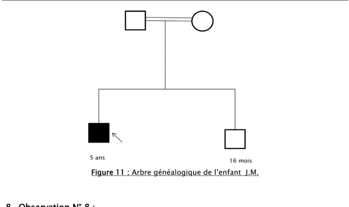 Figure 11 : Arbre généalogique de l’enfant  J.M. 