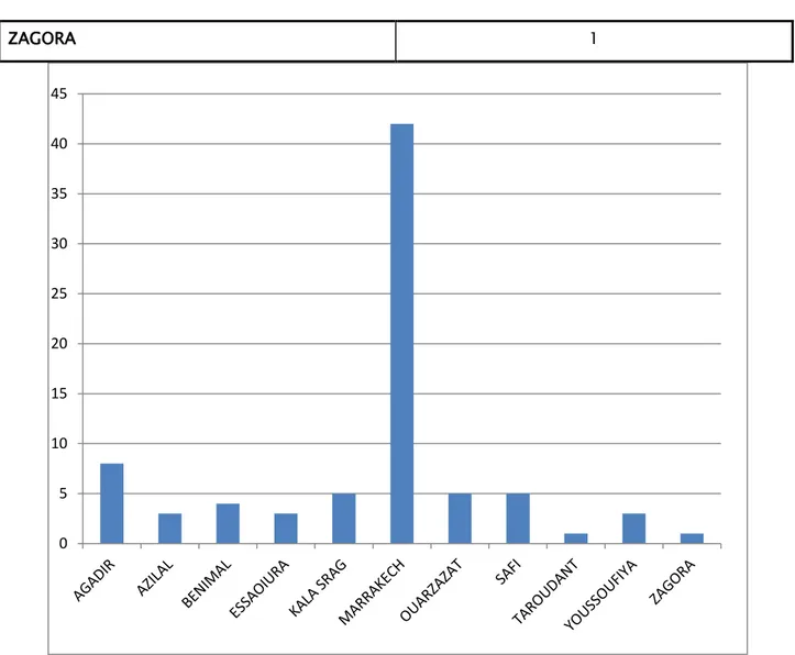 Figure n°4 : Répartition géographique des patients  