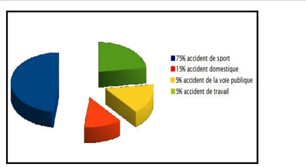 Figure 5: Répartition selon les étiologies de la rupture 