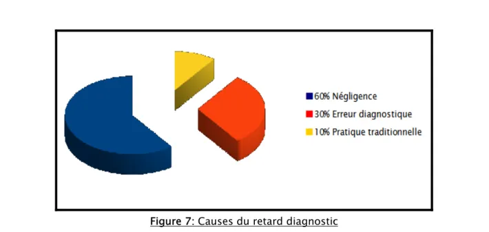 Figure 7: Causes du retard diagnostic 