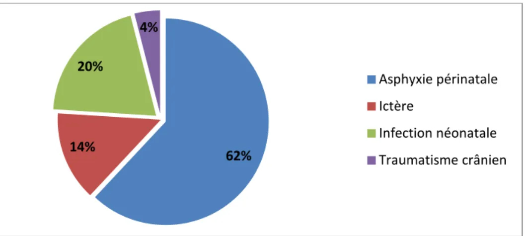 Figure 5 : Répartition des antécédents périnataux 