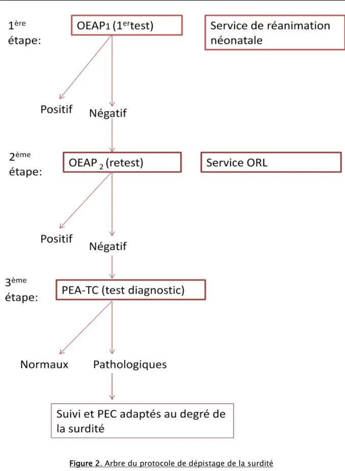 Figure 2. Arbre du protocole de dépistage de la surdité   chez les nouveau-nés à risque adopté dans notre étude
