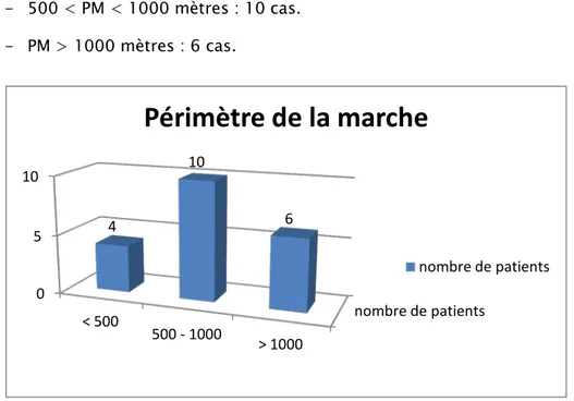 Figure 6 : Répartition des patients selon les anomalie de la marche. 