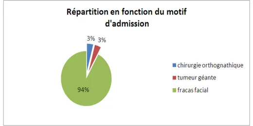 Figure 7 : Graphique de la répartition en fonction du motif d’admission 0 5 10 15 20 25 30 masculin feminin  nombre de personnes sexe 