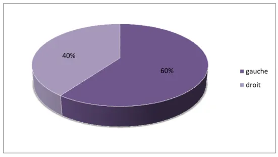 Figure 3: répartition selon le coté atteint 76%24% HommeFemme60%40%gauchedroit