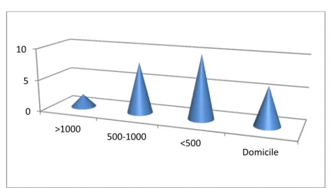 Figure 10 : Évaluation de la gravite selon le périmètre de marche 