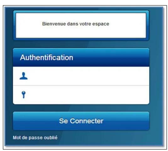 Figure 1 : capture d’écran de l’authentification 