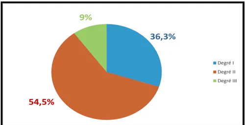 Fig. 3 : Répartition des degrés d'incontinence. 